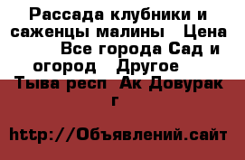 Рассада клубники и саженцы малины › Цена ­ 10 - Все города Сад и огород » Другое   . Тыва респ.,Ак-Довурак г.